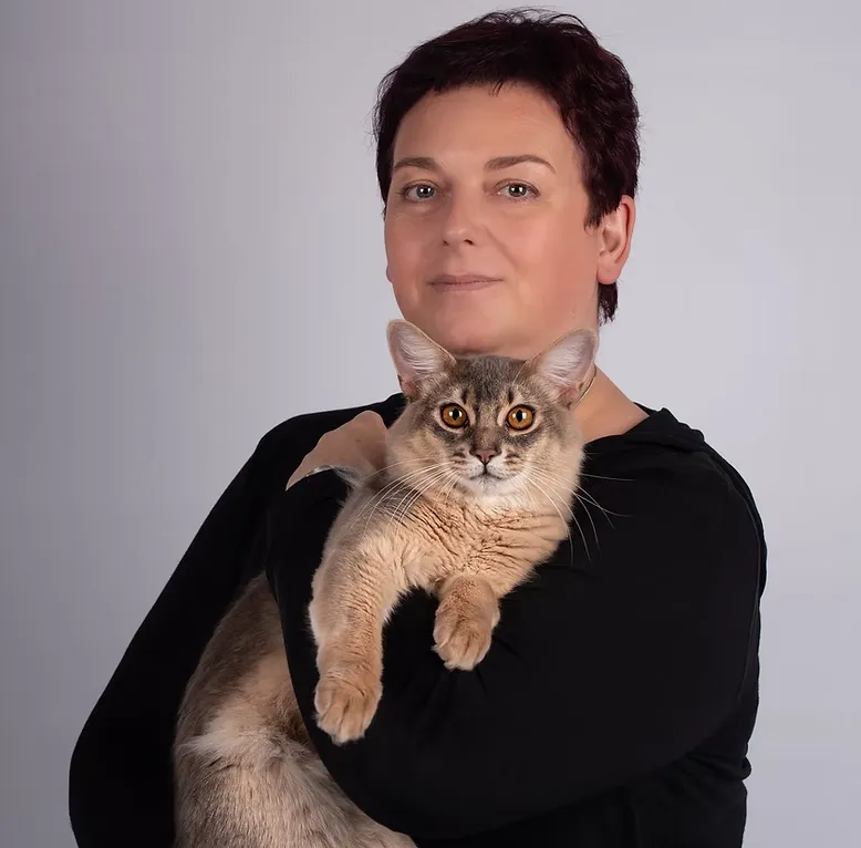 Groomy Cat